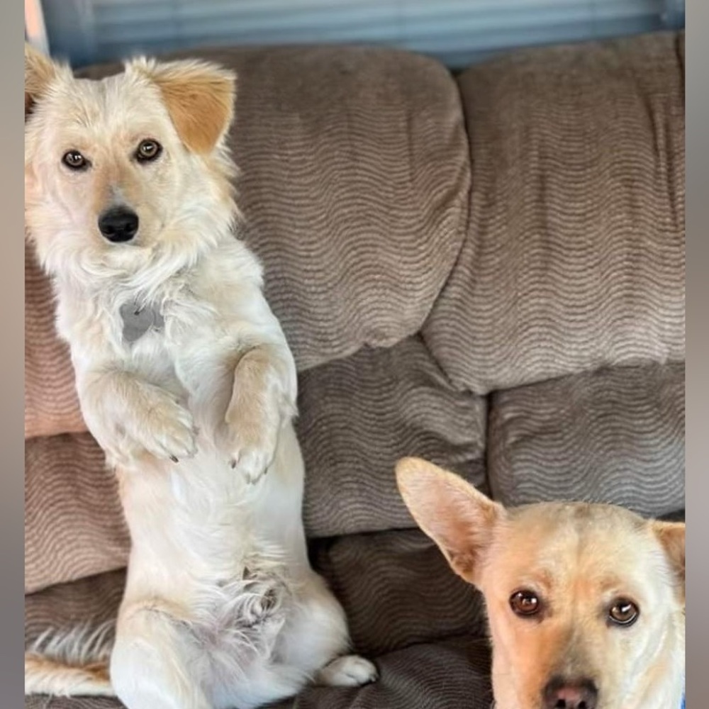 Meet your Posher, Victoria